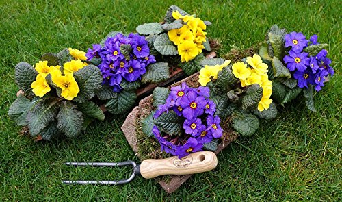 DeWit 2 Prong Weeding Fork 11.3 Inch Short Handle Tool