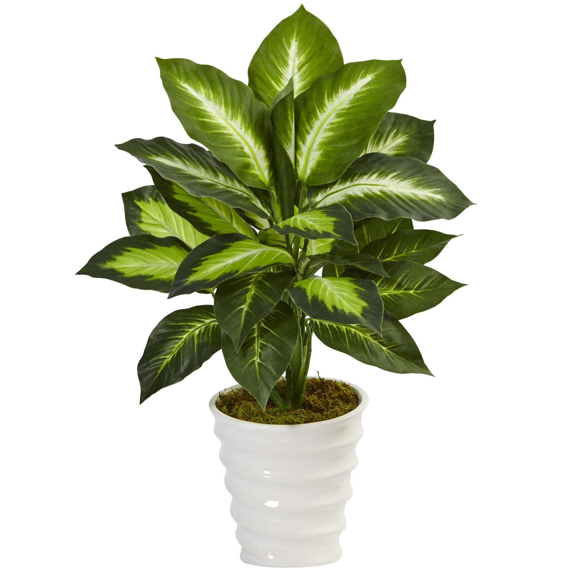 Nearly Natural Dieffenbachia Artificial Plant Swirl Planter